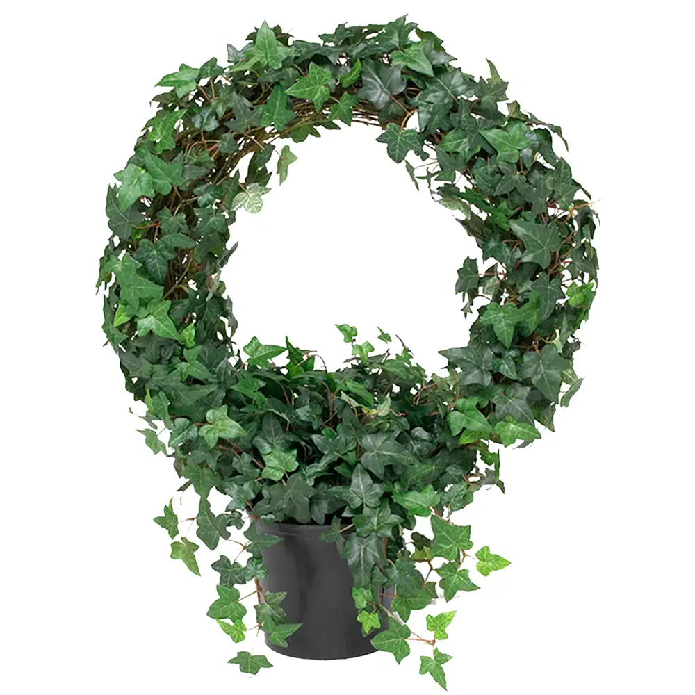 Murgörna 85 cm grön