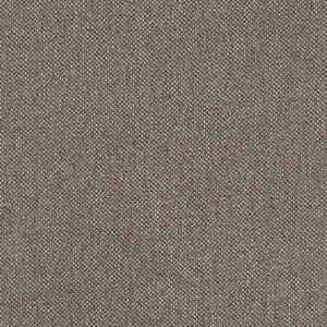 Reno Corner section Rave liver