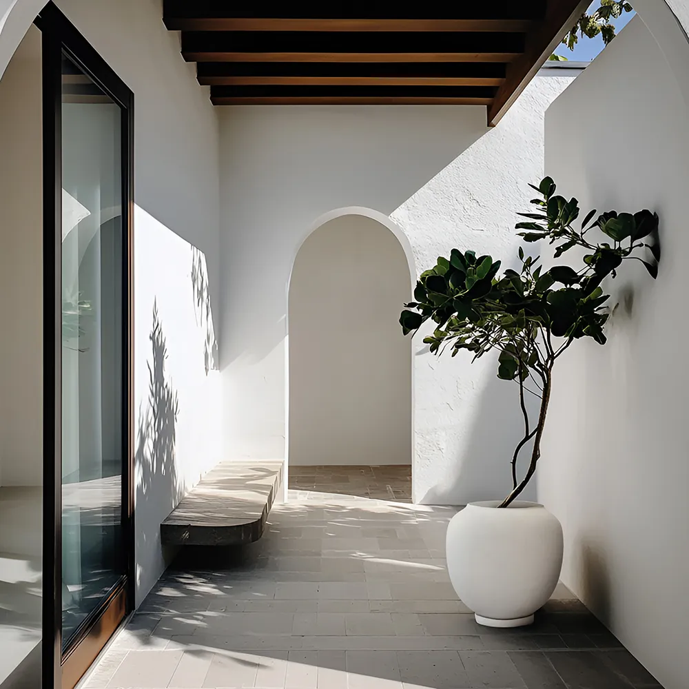 Sunao kruka Hexa - Birch