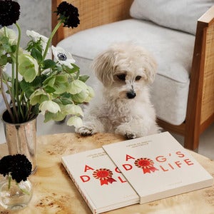 Hunddagbok A Dog's Life