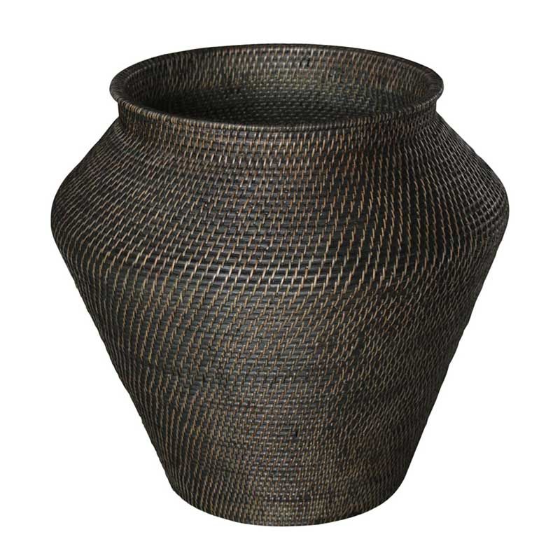 Amazon Snake Korg L Brun