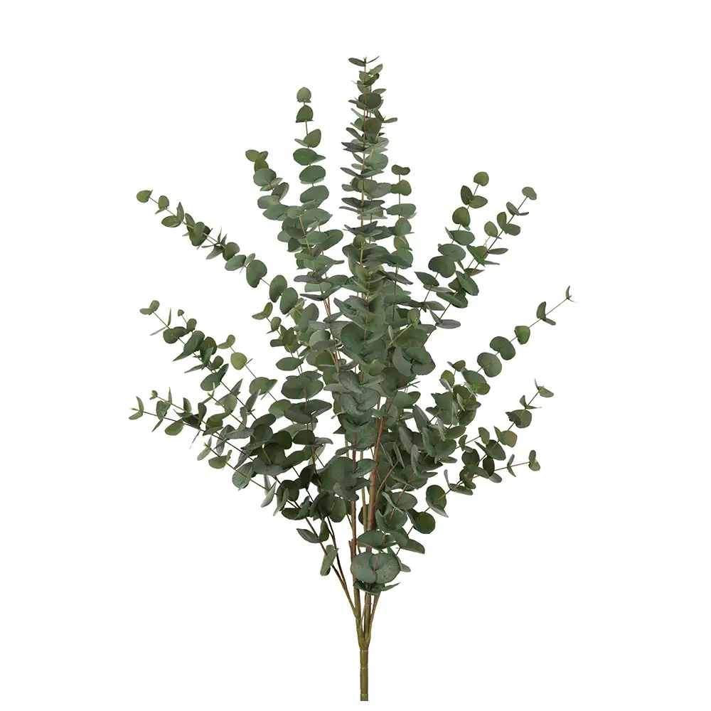 Eucalyptus Kvist 120 cm 