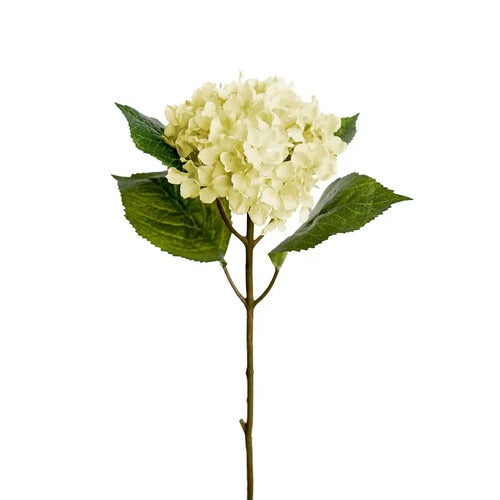 Hortensia 40 cm vit