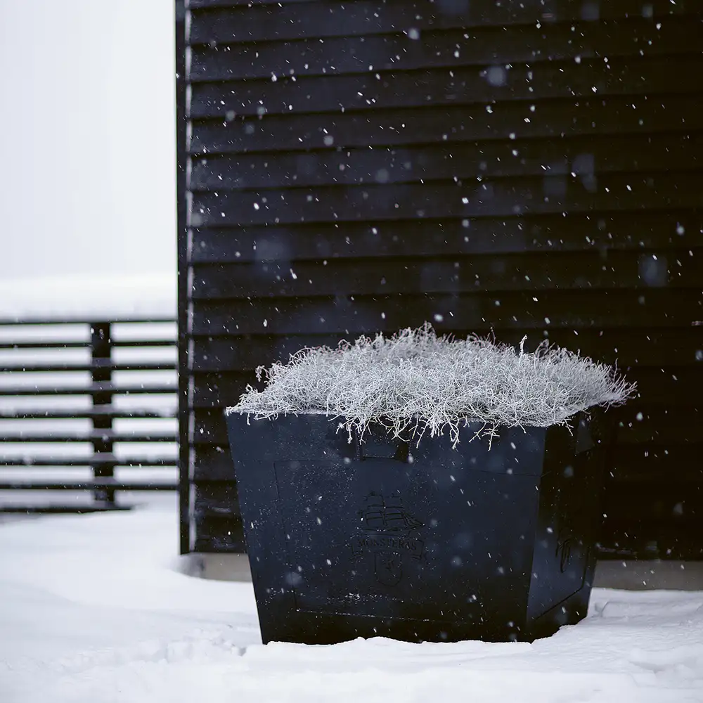 Karl XL växtkärl svart