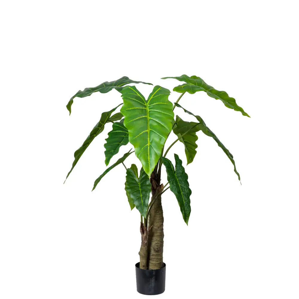 Alocasia Träd 120 cm