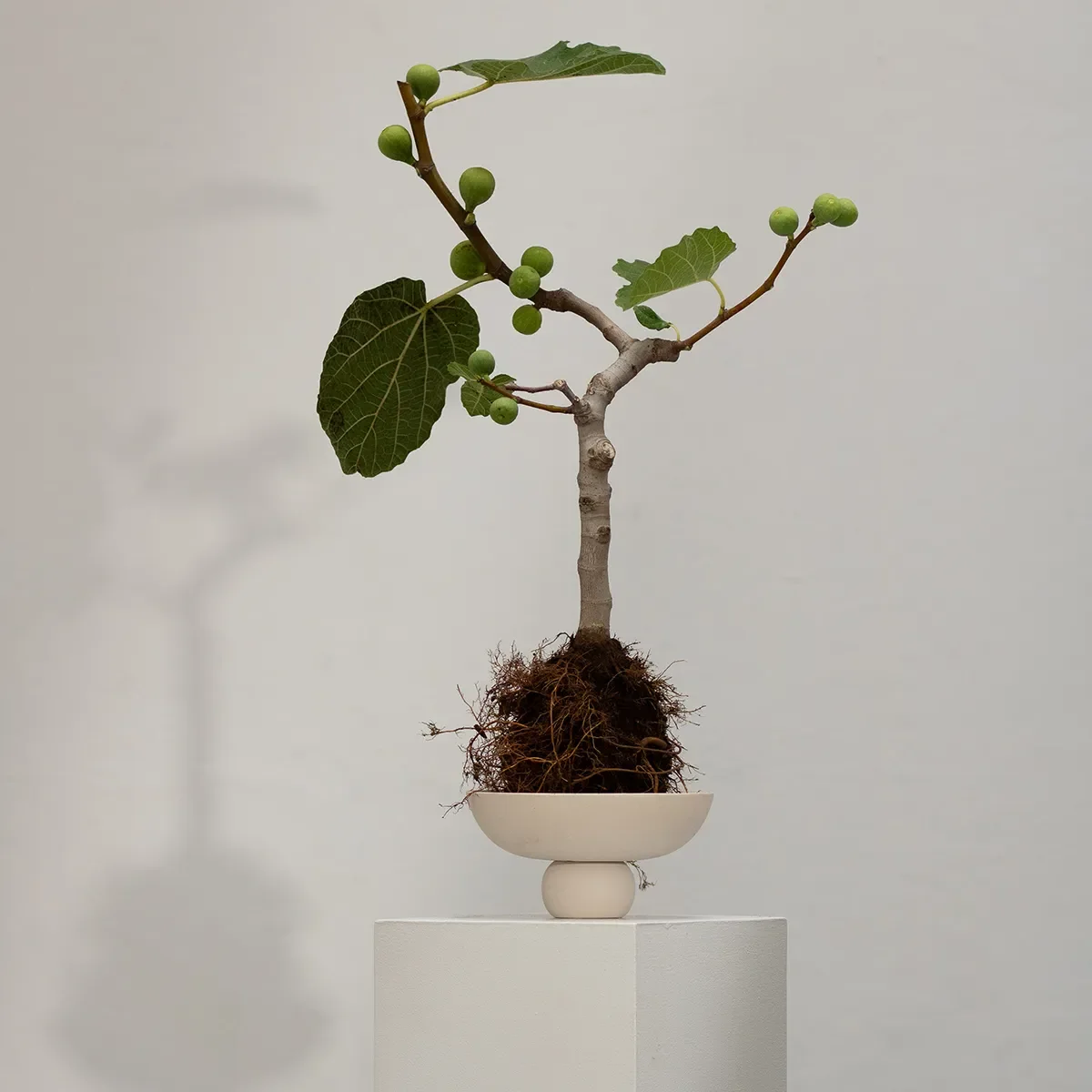 Handmålad dekorationsskål Baburu Mini Birch Ø 20 cm