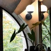 Mooon! Vägglampa Cactus 