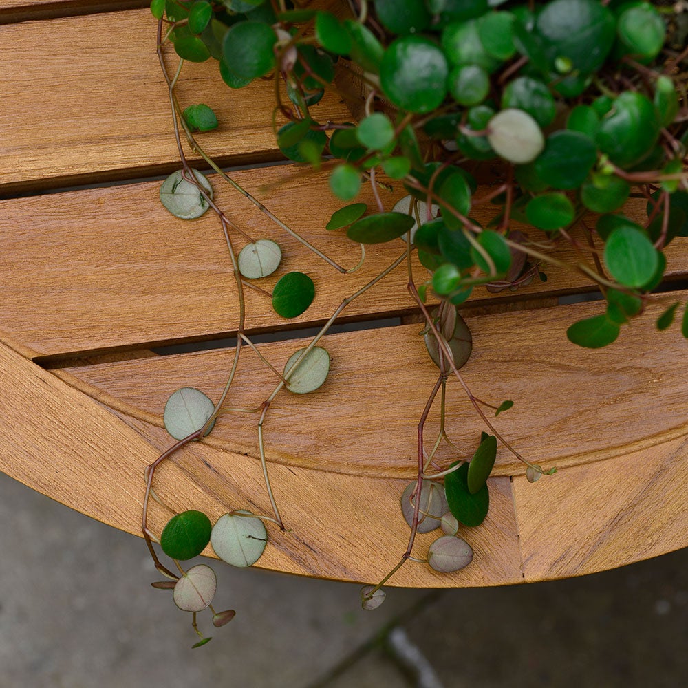 Lounge soffbord 80 cm teak 