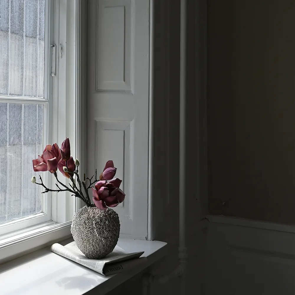 Sunao vas Petit - Beehive