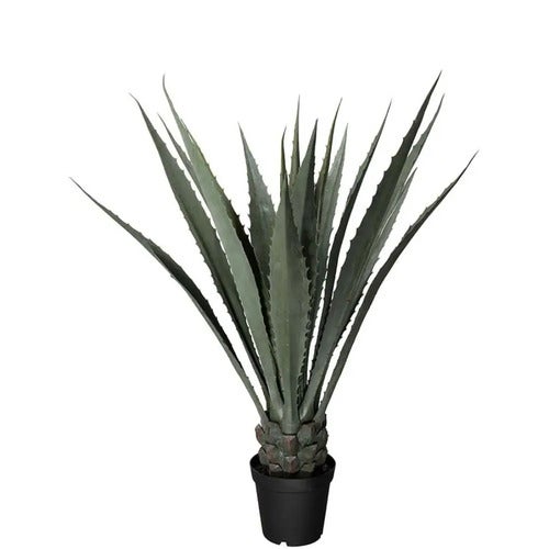 Agave Grön 120 cm