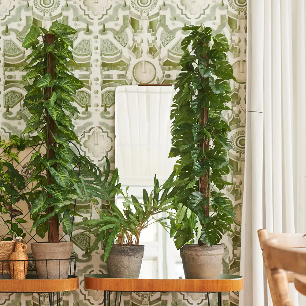 Monstera 120 cm Grön 