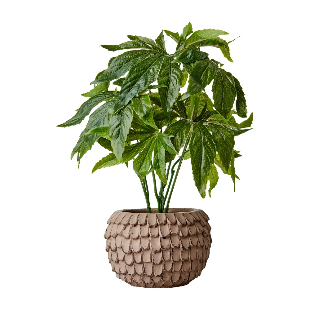 FUDGE Kruka XS Nougat brown