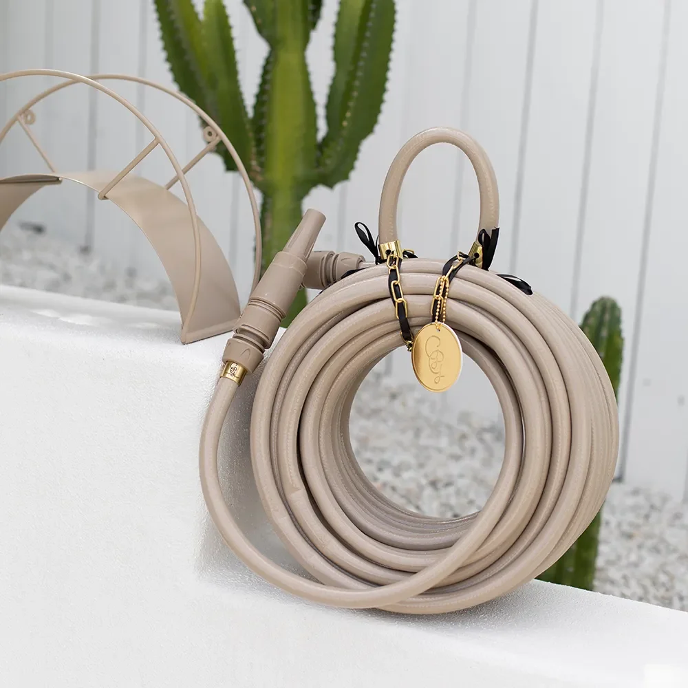 Vattenslang Sahara Desert 