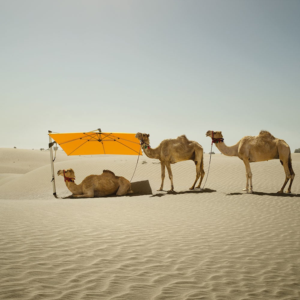 Sombrano S+ frihängande parasoll 350x350 cm kat.5 antracite alu / 669 carbone 