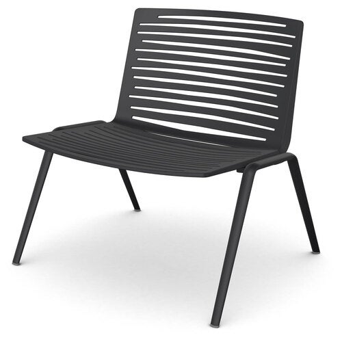 Zebra fåtölj Black 