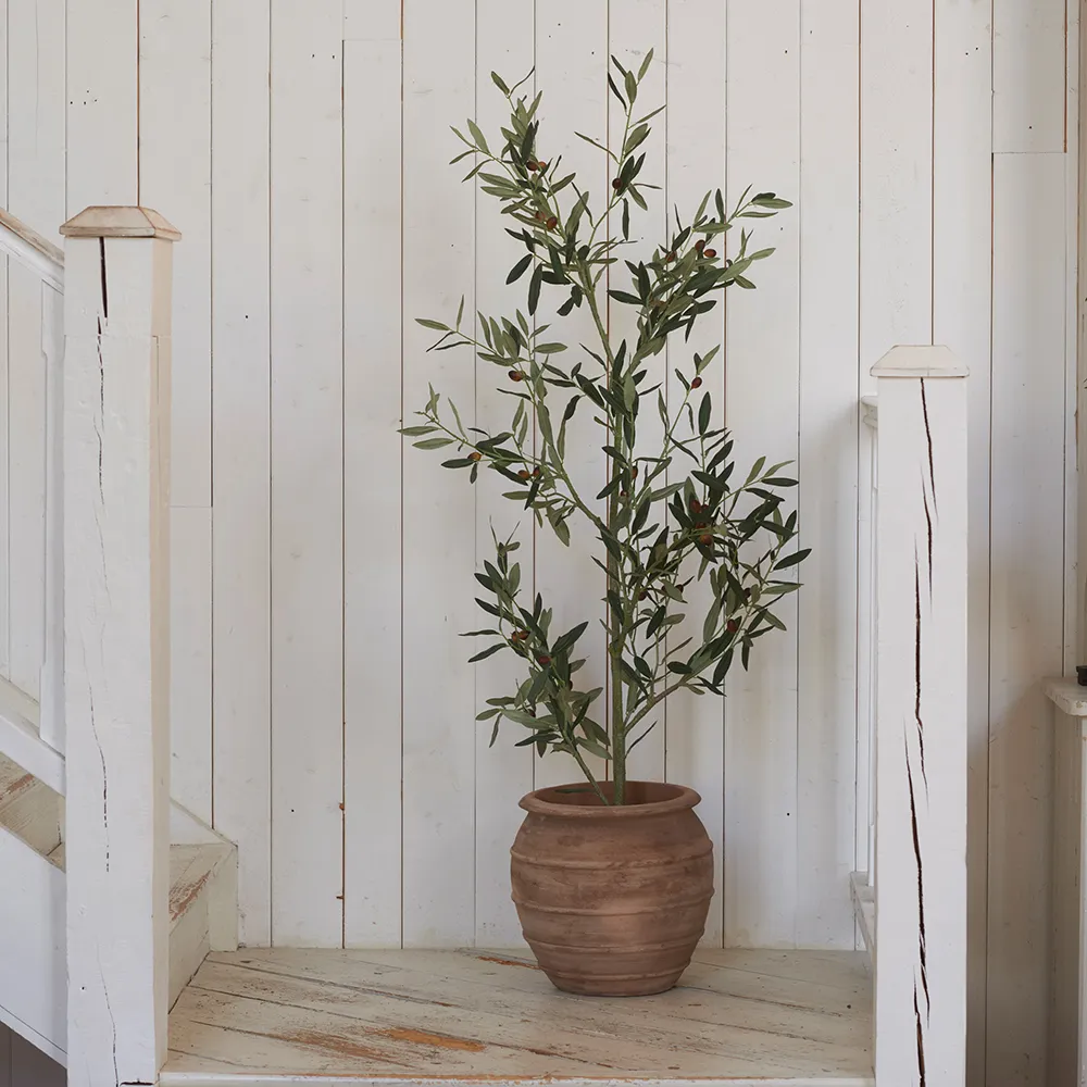 Olivträd 120 cm Grön 