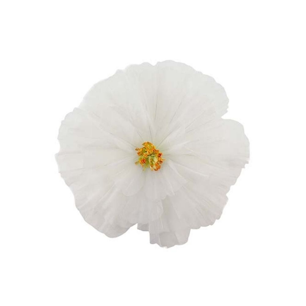 Blomma Daisy vägg Vit