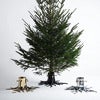 Julgransfot Silver