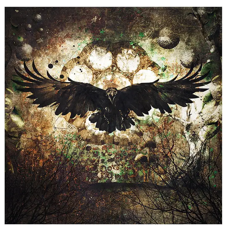 Väggdekor Raven 150x150 cm 