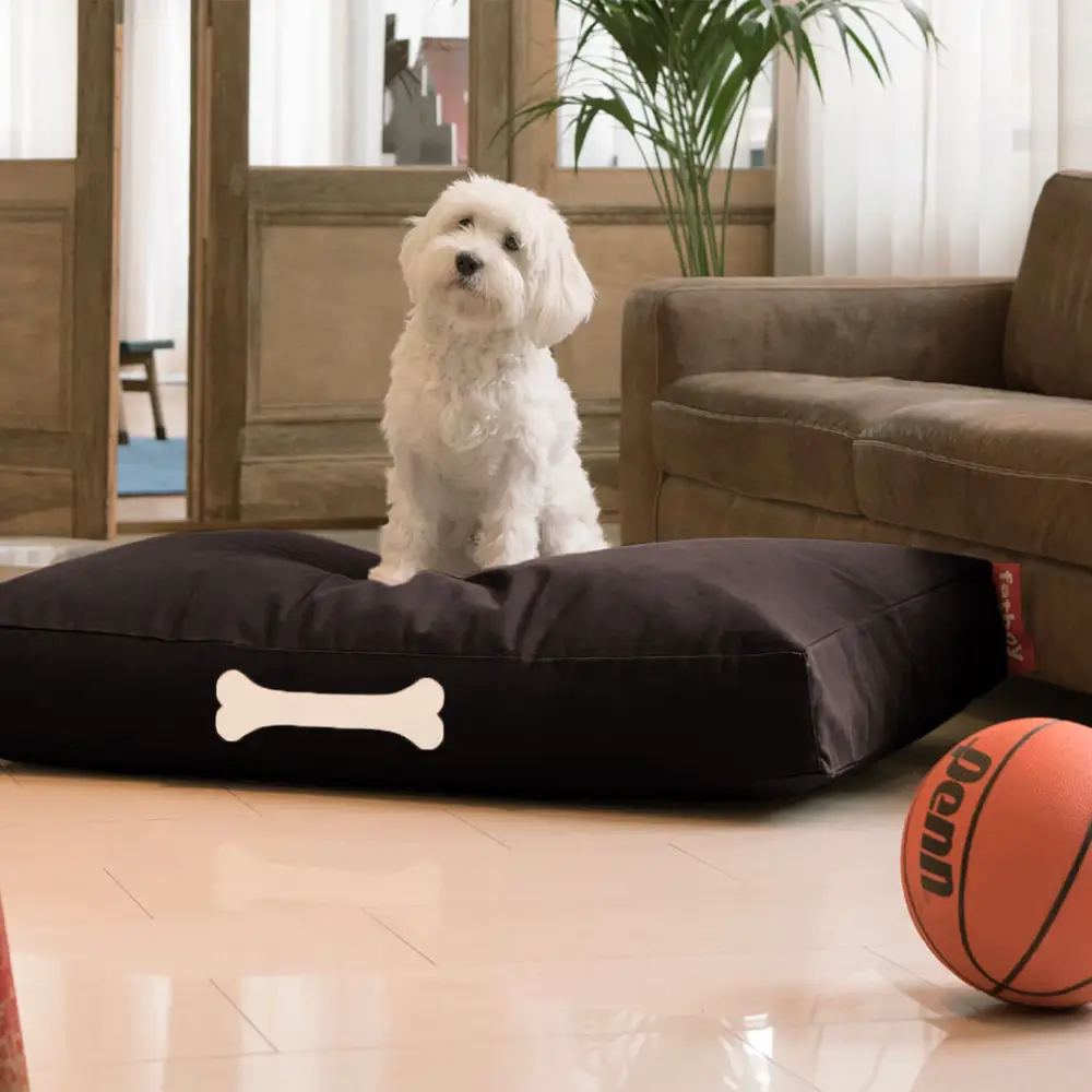 doggielounge L canvas Hundbädd recycled black licorice