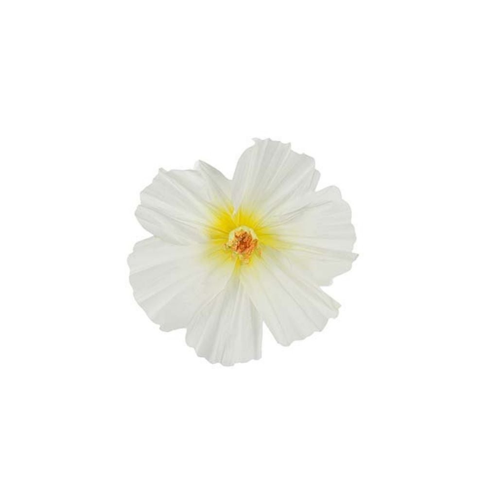 Blomma Lykke vägg Vit