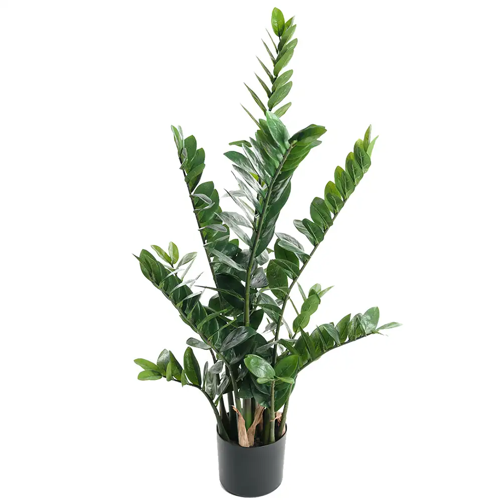 Zamifolia Krukväxt 110 cm 