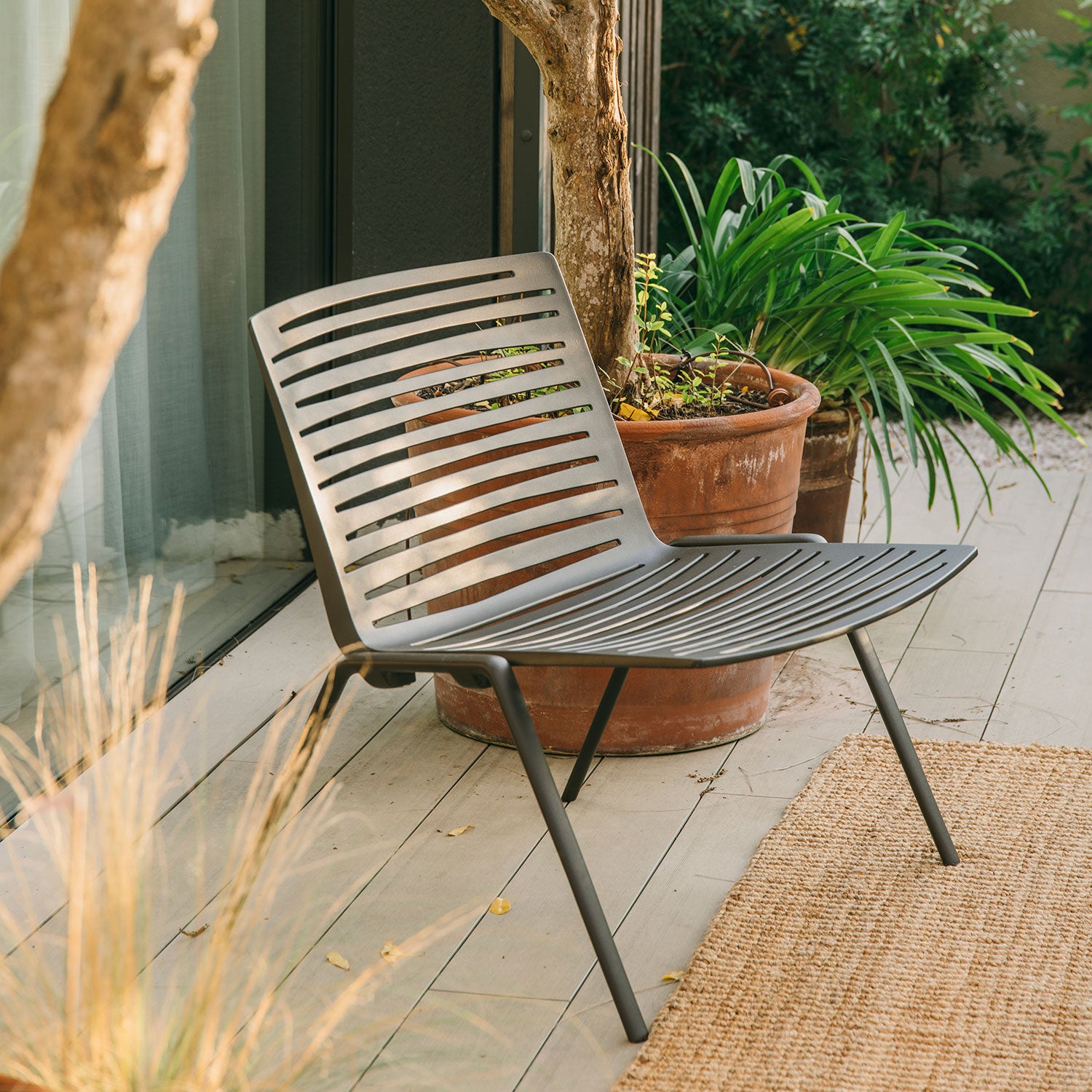 Zebra fåtölj Black