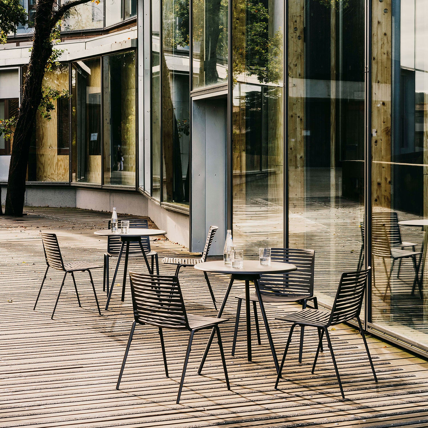 Zebra matstol Metallic Grey