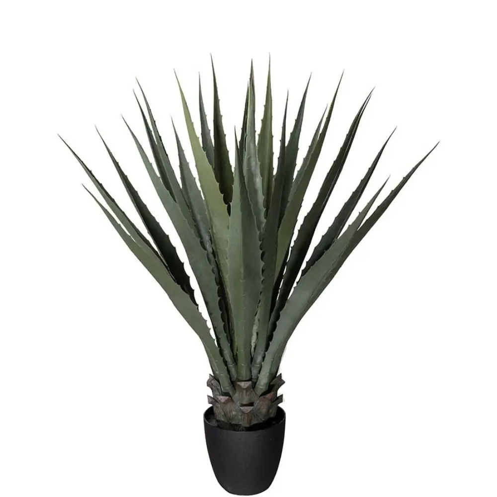 Agave Grön 100 cm